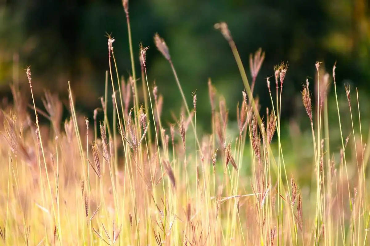 Descubra os Segredos da Renda Passiva: Aprenda a Gerar Dinheiro Enquanto Você Dorme