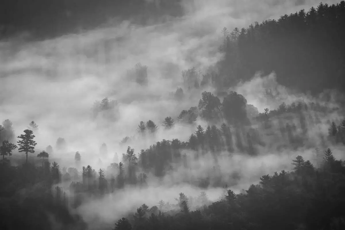 Construa uma marca pessoal poderosa como freelancer em 2025