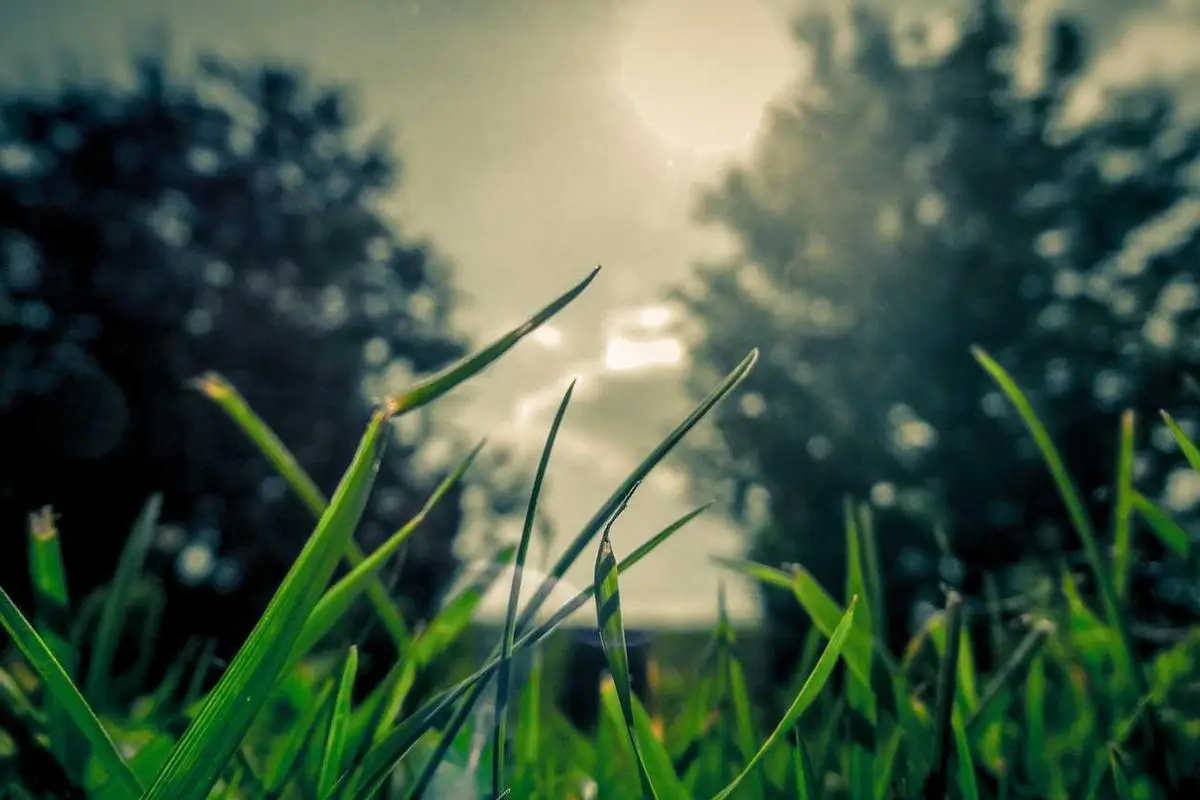 ‘Dicas para manter a motivação em tempos desafiadores 2025’