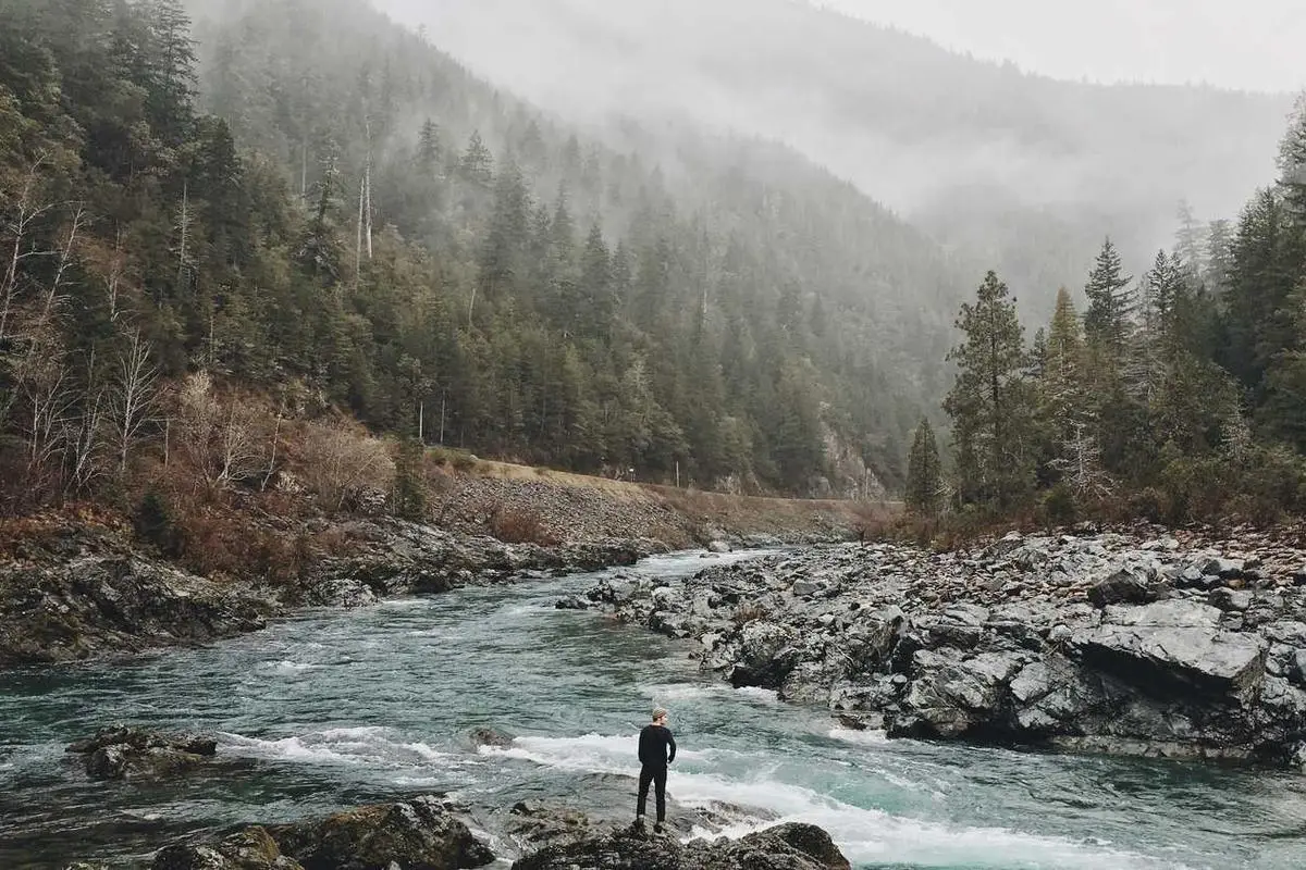 Diversificação de carteira em 2025: estratégias essenciais