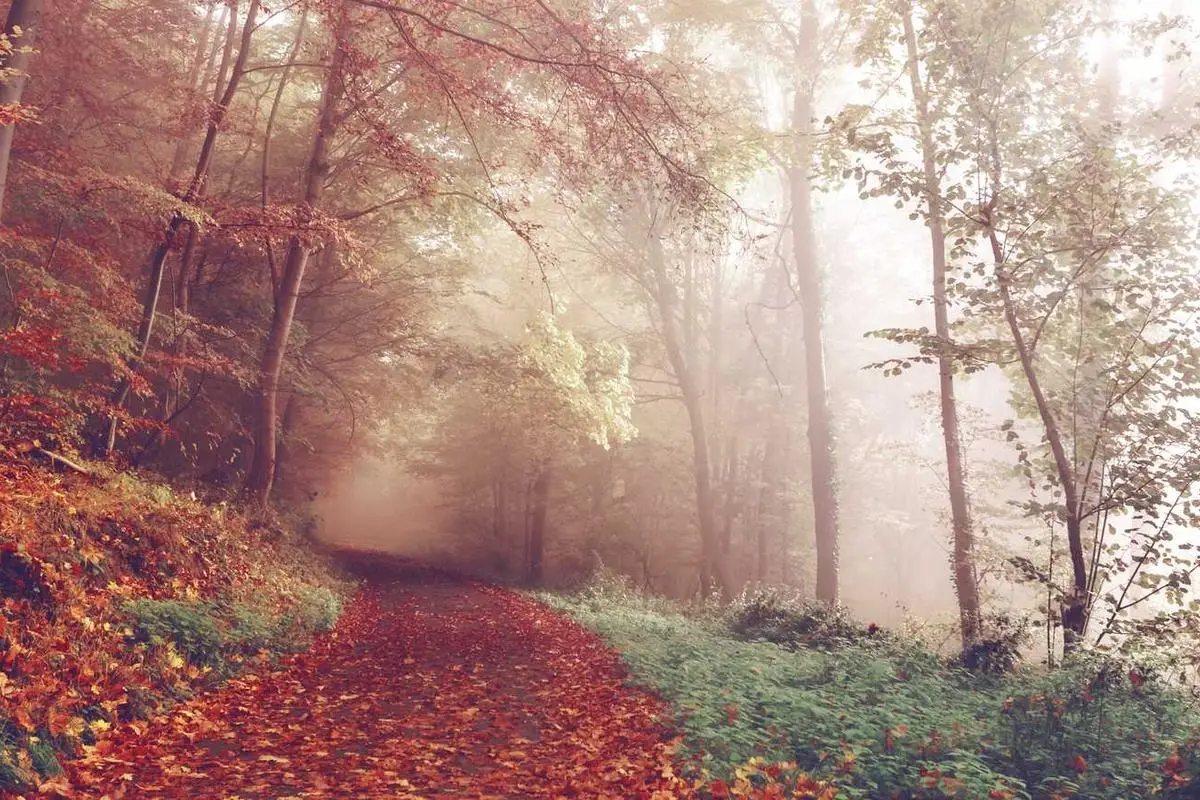 Estratégias de networking virtual para freelancers em 2025