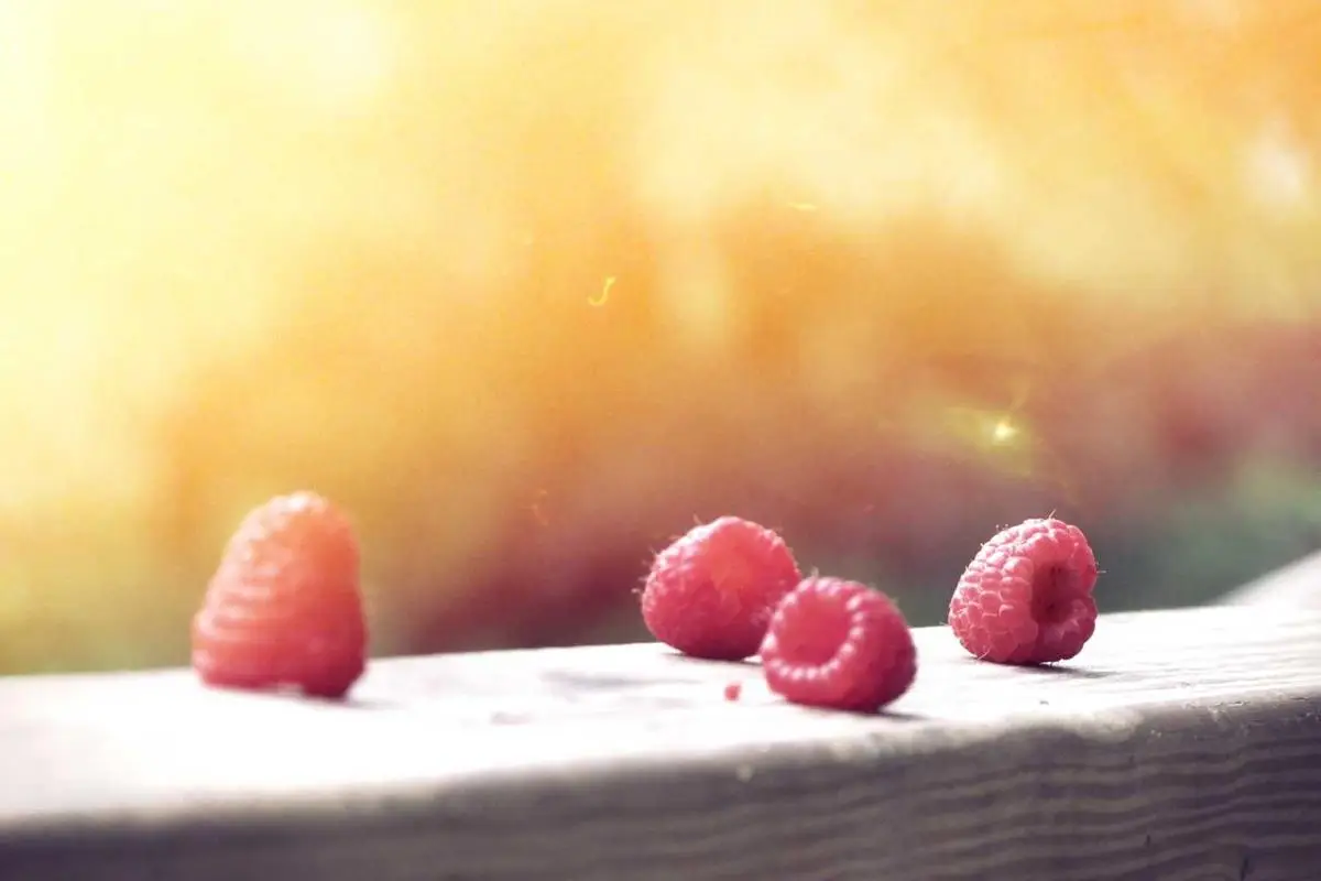 Fundos imobiliários: oportunidades promissoras em 2025