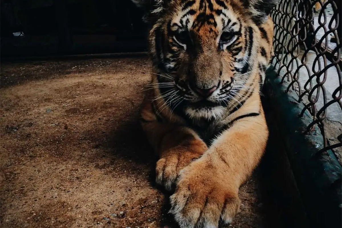 Fortalecendo sua autoconfiança em 2025: Técnicas eficazes