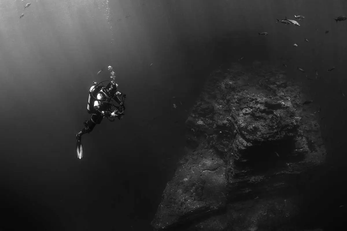 Tendências de freelancing em 2025 que você precisa saber