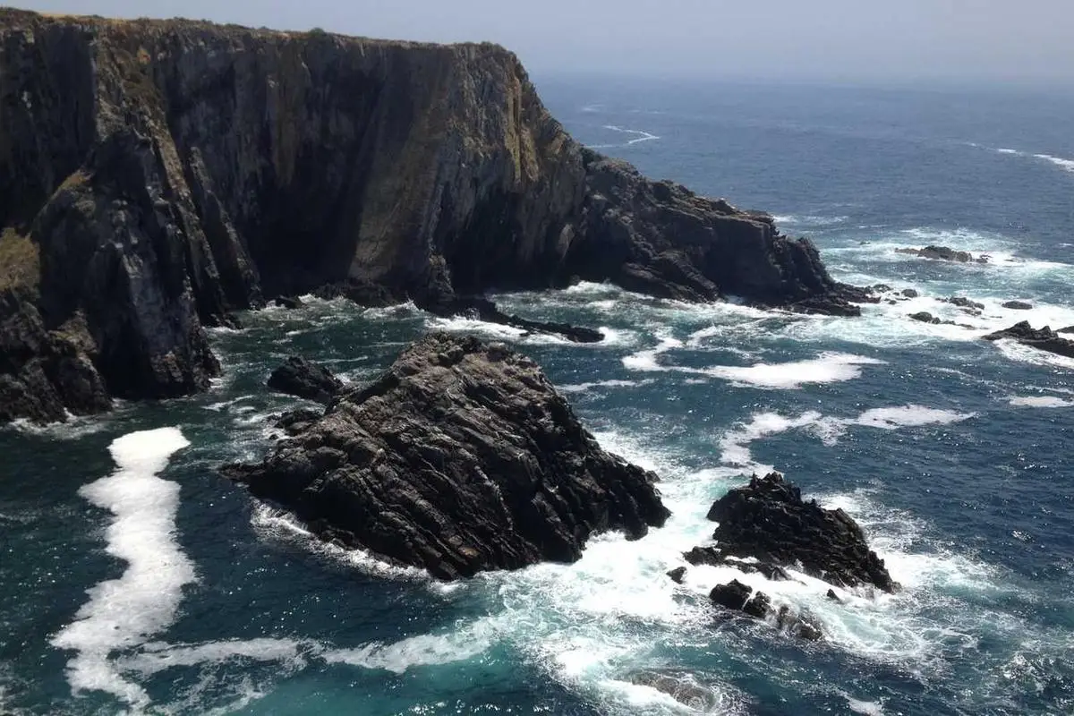 Desafios da sustentabilidade no desenvolvimento econômico do Brasil em 2026