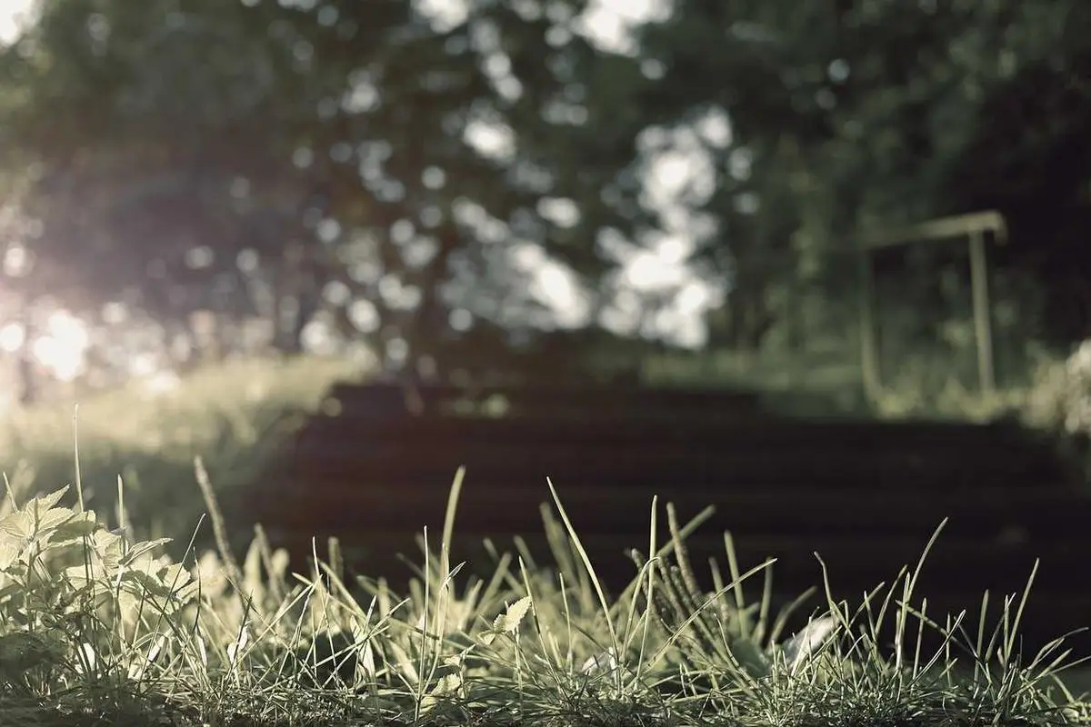 Tendências de investimento em tecnologia no setor financeiro em 2026