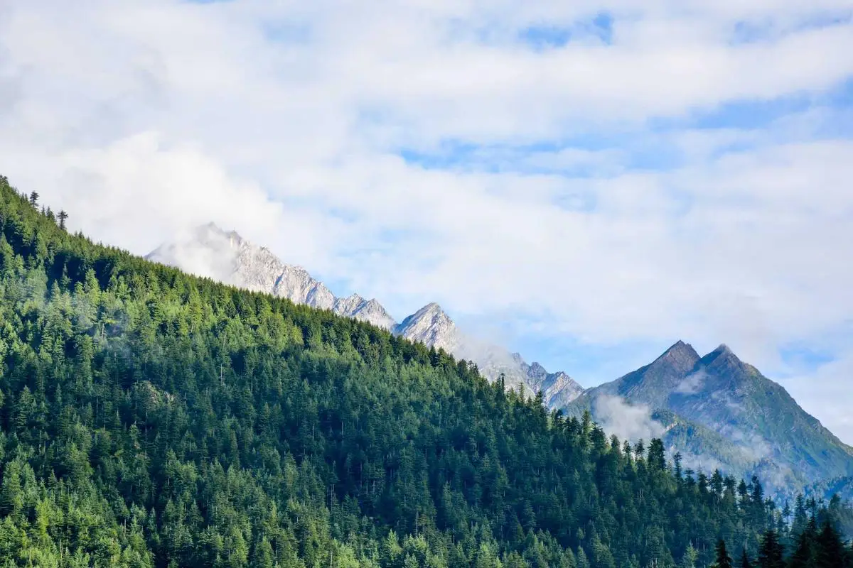 Aprenda com erros e fracassos em 2026 – Seu guia essencial