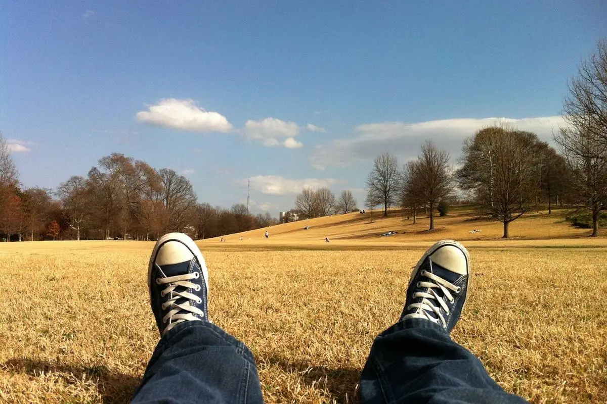 Criptomoedas e blockchain: oportunidades financeiras em 2026