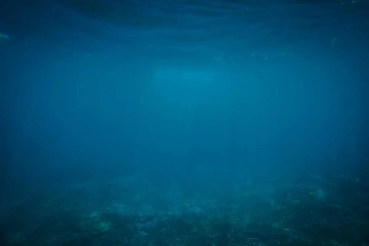 ‘Cultivando uma mentalidade positiva para o futuro em 2026’