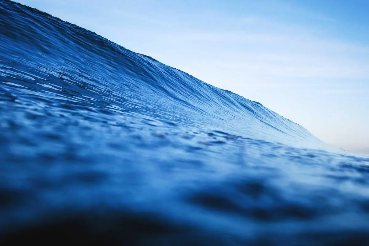 “Descubra as Estratégias Definitivas de Diversificação de Portfólio em 2026”