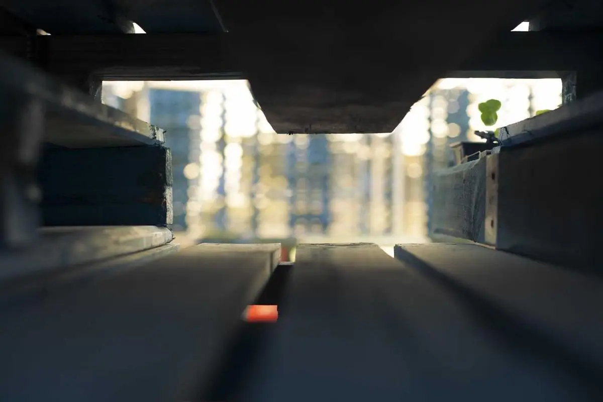 “Alcance seus sonhos em 2026 com foco e disciplina”