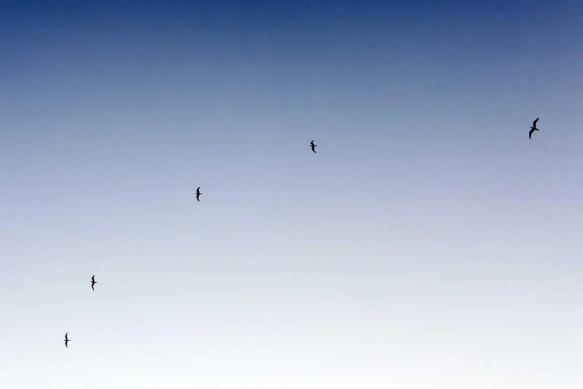 Técnicas de gerenciamento de estresse para líderes em 2026